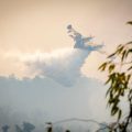 Incendie en Espagne : un été sous le signe du feu
