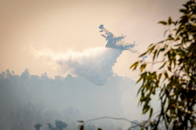 5bc5a89f-2723-4097-9201-49be5827deeb Incendie en Espagne : un été sous le signe du feu