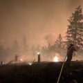 L&rsquo;impact des incendies de forêt en Colombie-Britannique