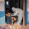 Interpellations, Épidémie d&rsquo;Ebola et Primaires Coûteuses