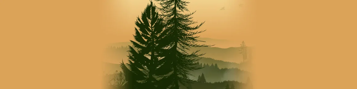 66aeb36a-e82c-4ecb-8d0b-fd3e5f24447b Plongée au cœur des forêts: podcasts pour mieux comprendre et protéger nos arbres
