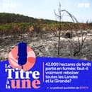 6a400388-928c-49c5-b1d4-5e5d81099602 Vigilance Rouge pour Risque de Feu de Forêt dans le Sud-Est de la France