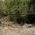 L&rsquo;importance des petits cours d&rsquo;eau face à la sécheresse