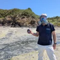La Prolifération des Algues Vertes en Bretagne : Actions et Enjeux