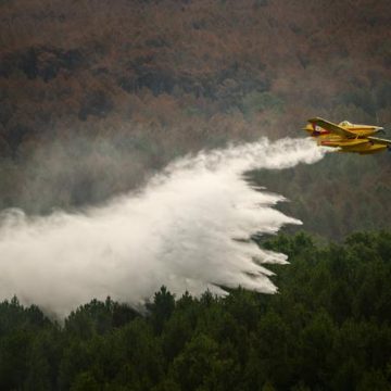 6f06df27-4c3a-40a4-a197-f405180e204c L’incendie dévastateur en Gironde : une situation sous contrôle