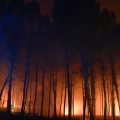 Incendie ravageur dans les Landes : retour des évacués