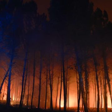 7253cfe5-f6f2-402d-9291-b7e1a31b98b8 Incendie ravageur dans les Landes : retour des évacués