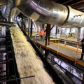 L&rsquo;adaptation des entreprises au changement climatique