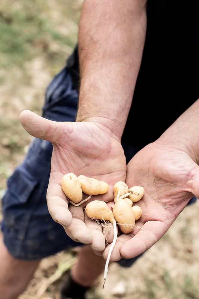 75c82eee-a806-4a47-8718-da6335e684f8 Les acteurs de la grande distribution soutiennent les agriculteurs face à la sécheresse
