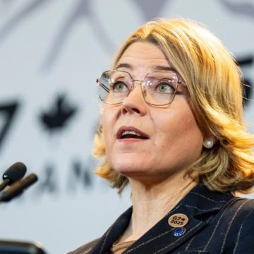 Les plateformes appelées à lutter contre la désinformation en situation de crise