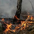 Interpellation d&rsquo;un homme soupçonné de déclencher des incendies