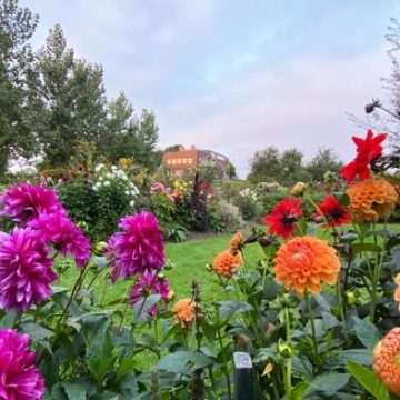 Le jardin créatif d&rsquo;Emil Nolde : Une inspiration colorée