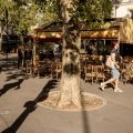 France : Canicule, Feux de Forêt et Sécheresse Créent une Situation Alarmante
