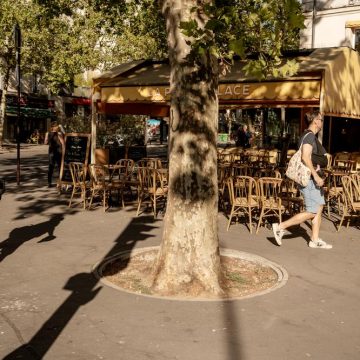 7ba76cea-3587-46a9-980f-ce5d9fc06eb4 France : Canicule, Feux de Forêt et Sécheresse Créent une Situation Alarmante
