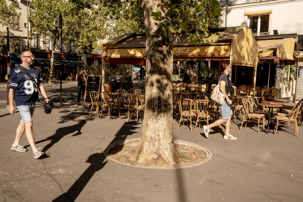 7ba76cea-3587-46a9-980f-ce5d9fc06eb4 France : Canicule, Feux de Forêt et Sécheresse Créent une Situation Alarmante