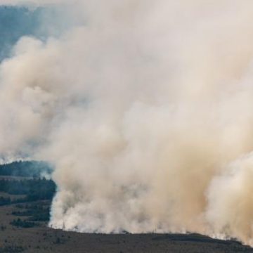7c5fd5b9-6701-4397-9710-b7fcbb553949 L’Allemagne en alerte face aux incendies en Belgique