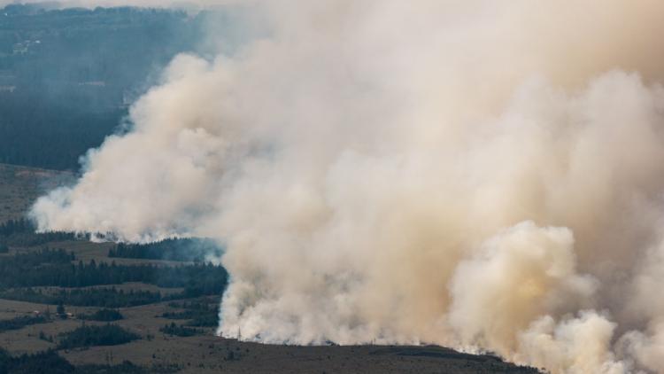 7c5fd5b9-6701-4397-9710-b7fcbb553949 L’Allemagne en alerte face aux incendies en Belgique