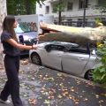 Violents orages dans le Rhône provoquent des dégâts matériels