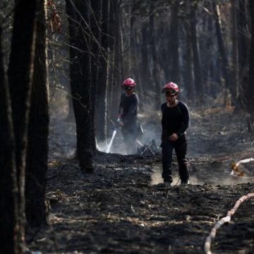 81616eed-2be2-4fab-aa2f-3f59ac8e5946 Aides pour les victimes du mégafeu en Gironde