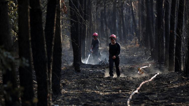 81616eed-2be2-4fab-aa2f-3f59ac8e5946 Aides pour les victimes du mégafeu en Gironde