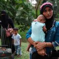 Xénophobie croissante envers les Rohingya en Malaisie