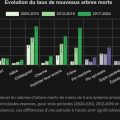 Augmentation de la mortalité des arbres en France et ses causes