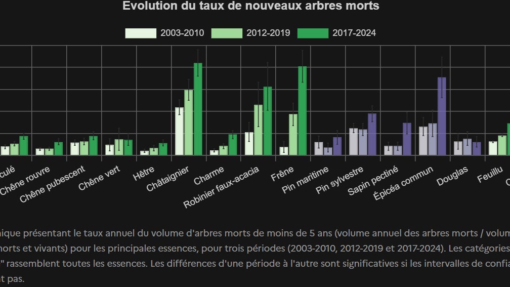 846cd9a1-b763-4f54-83b2-d62f02e23e69 Augmentation de la mortalité des arbres en France et ses causes