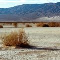 Un Touriste Français Décède Sous la Chaleur de la Vallée de la Mort