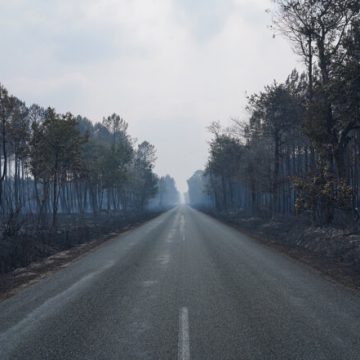 8c414c81-3e0a-4790-b7b2-5a6821a39f0d Climat En Gironde, après le feu, le temps des questions