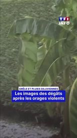 8eaafc95-7b43-4519-9229-1f55cc38e8a4 Intempéries : grêle et pluies violentes, les dégâts en images