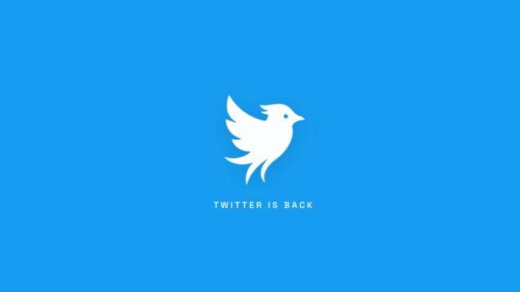 9242ed76-9660-4d4d-8f37-0e5756f9f997 Une nouvelle plateforme social en défi avec Elon Musk