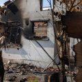 Incendies dans la forêt des Landes : situation et progrès des secours