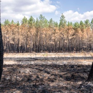 93ca6309-6af1-4b21-9736-4eb0f3c73c4f Gestion et Conséquences des Incendies en France et dans les Balkans