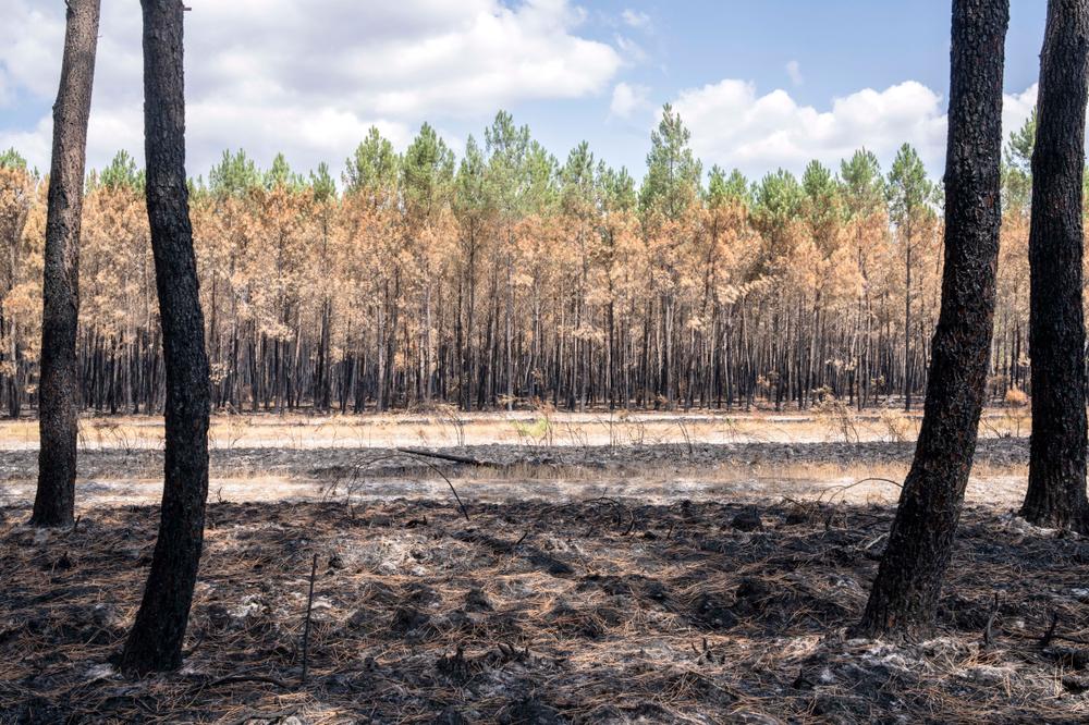 93ca6309-6af1-4b21-9736-4eb0f3c73c4f Gestion et Conséquences des Incendies en France et dans les Balkans