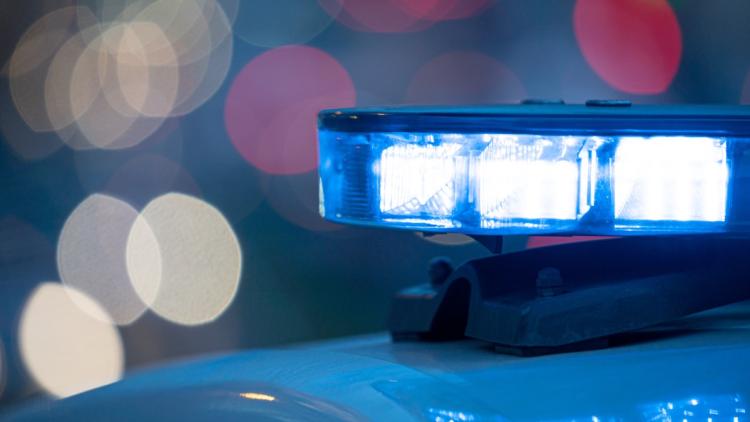 95810b89-d402-4768-9a15-d6ab5433be94 Arrestation de Deux Suspects Après un Triple Meurtre en Afrique du Sud