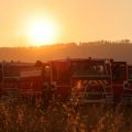 Un nouvel épisode caniculaire prévu en France