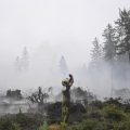Incendie dans la réserve naturelle des Hautes Fagnes en Belgique