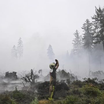 96cbcc68-aa1f-4019-9833-1b67026196cc Incendie dans la réserve naturelle des Hautes Fagnes en Belgique