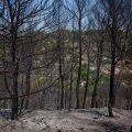 Incendies dans le Var officiellement éteints
