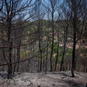Incendies dans le Var officiellement éteints