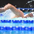 La France décroche l&rsquo;argent en natation grâce au relais 4 x 200 m nage libre