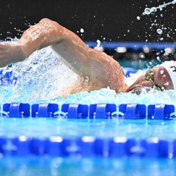 La France décroche l&rsquo;argent en natation grâce au relais 4 x 200 m nage libre