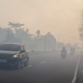 Les incendies de forêt en Indonésie : une situation critique