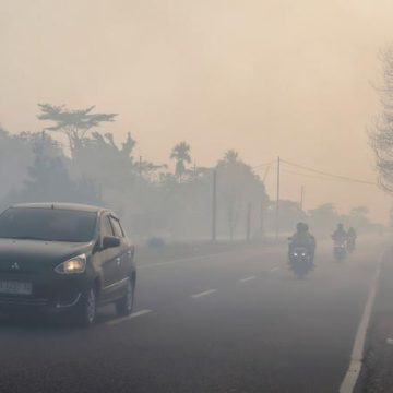 Les incendies de forêt en Indonésie : une situation critique