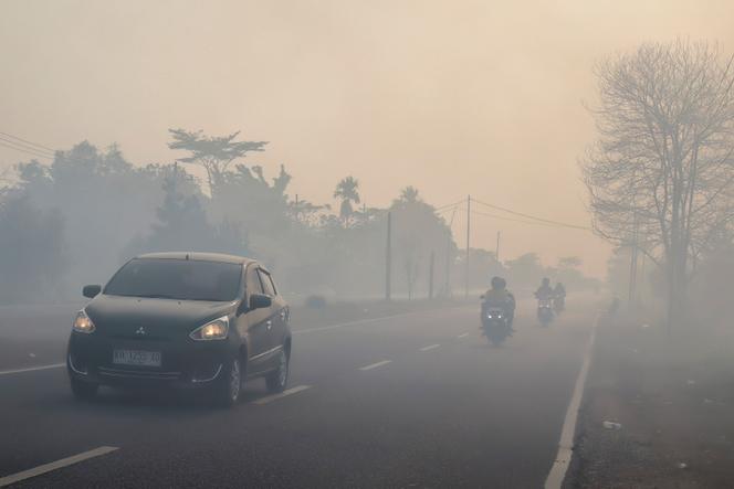 9d31553b-34d4-4a99-b49a-123e8404ce9e Les incendies de forêt en Indonésie : une situation critique