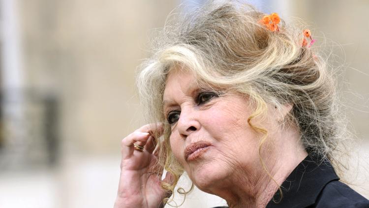 a0e01d80-4412-41c5-bd4c-b8f79507606a Vente aux enchères des effets personnels de Brigitte Bardot