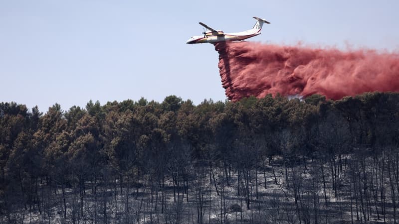 a50ec139-a1e6-4879-9ced-5ed4afaefa82 Les incendies maîtrisés dans le Var grâce aux interventions des pompiers