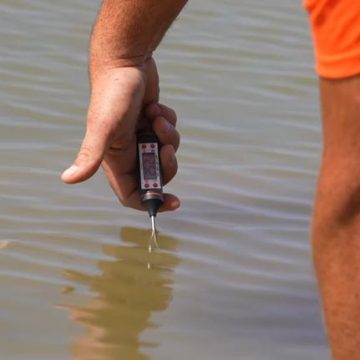 a510737a-c2b4-4a23-b1c2-4968ab0dd977 Les Conséquences du Réchauffement des Eaux sur la Faune et l’Économie Locale