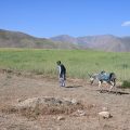 Exploitation minière et impact en Afghanistan