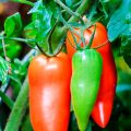 Comment mieux conserver vos fruits et légumes